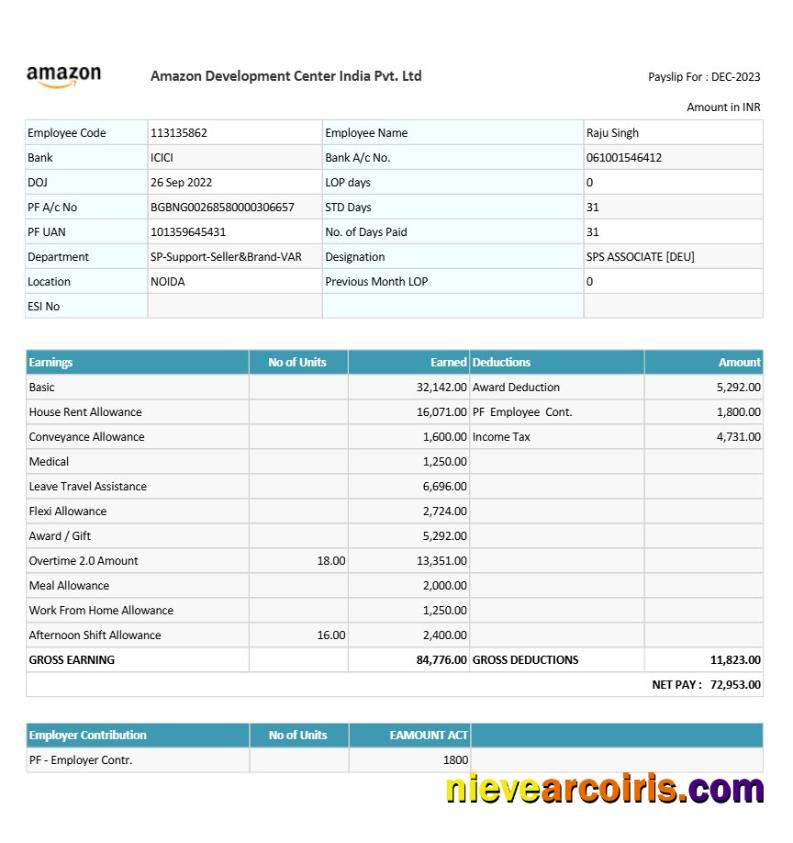 Amazon Development Center India payslip